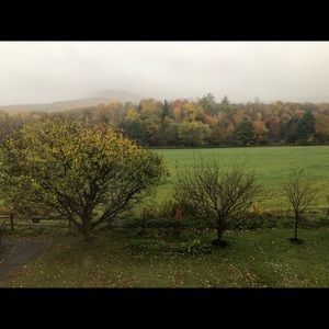 Meet your Posher, Miriam